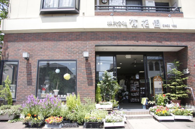 胡蝶蘭などを販売している花屋「有花園」について