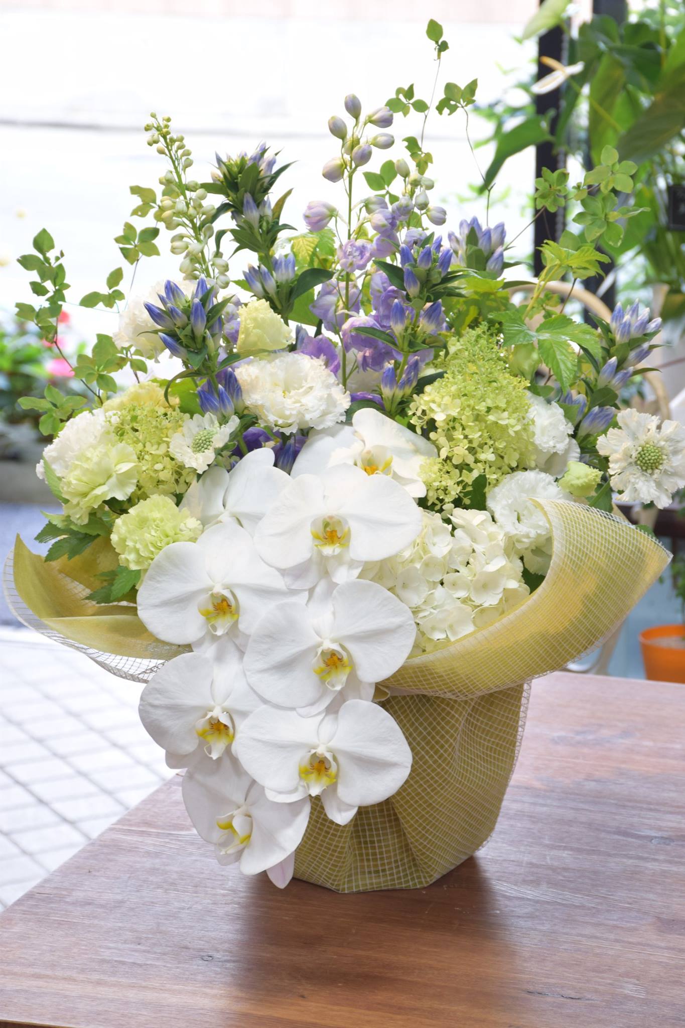 こんなシーンで 御供え編 胡蝶蘭など取り扱いのある花屋 有花園